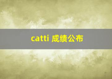 catti 成绩公布